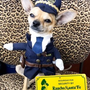 Beezu’s News for you….