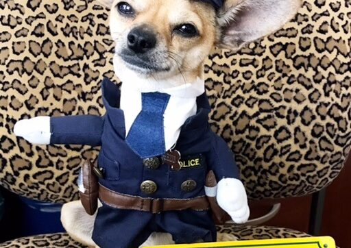 Beezu’s News for you….