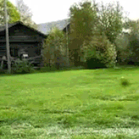 Let’em all Help….