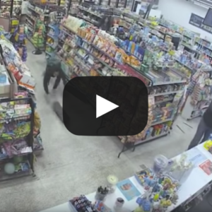 Silly Burglar of the Month December